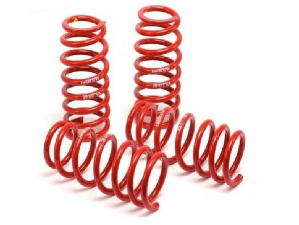 H&R For 1996-1999 BMW M3 Race Front And Rear Lowering Coil Springs- 50412-88