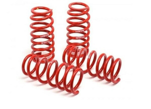 H&R For 2011-2013 Volkswagen Jetta Race Front and Rear Lowering Coil Springs